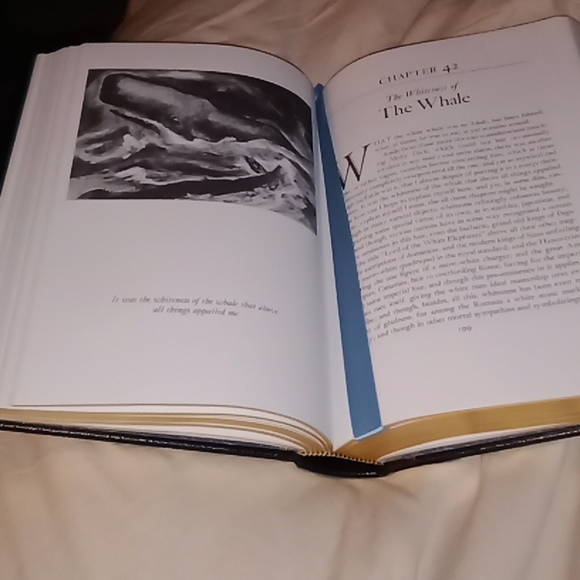 Herman Melville's Moby Dick for the whale - Picture 4 of 6